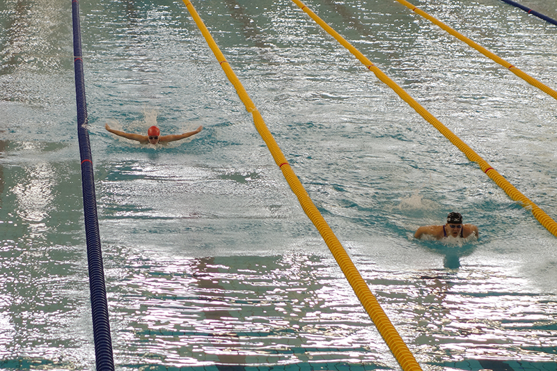 高雄市中等學校運動會游泳比賽